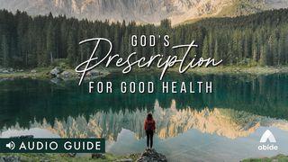 God's Prescription For Good Health Mattheüs 9:29 Het Boek