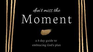 Don't Miss the Moment: A 5 Day Guide to Embracing God's Plan Salmi 90:12 Nuova Riveduta 2006