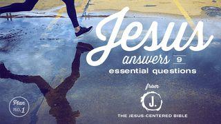 Jesus Answers 9 Essential Questions John 4:50 Christian Standard Bible