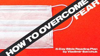 How to Overcome Fear John 12:24 American Standard Version