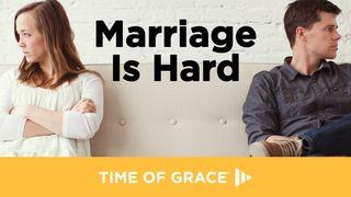 Marriage Is Hard Colossians 3:13 New Living Translation