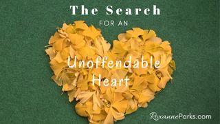 The Search for an Unoffendable Heart Romans 14:4 New King James Version
