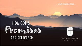 How God's Promises Are Delivered  GENESIS 15:1-5 Nuwe Lewende Vertaling