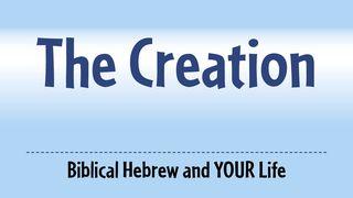 Three Words From The Creation Genesis 1:1-2 King James Version