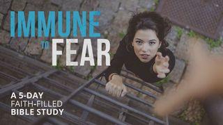 Immune to Fear  Week 5 Hebrews 3:13 Amplified Bible, Classic Edition