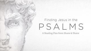 Psalms 2: Finding Jesus in the Psalms Psalm 45:7 English Standard Version 2016