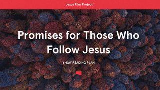 Promises for Those Who Follow Jesus Vangelo secondo Giovanni 16:24 Nuova Riveduta 2006