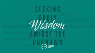 Seeking Godly Wisdom Amidst the Unknown Proverbs 2:1-3 New King James Version