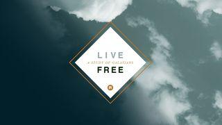 Live Free: A Study of Galatians  Galatians 5:9 New International Version