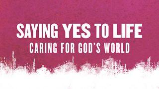Saying Yes To Life Genesis 2:1-4 New Living Translation