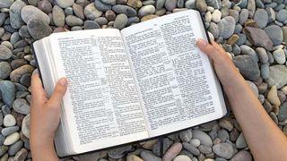 El poder de la palabra de Dios para transformar vidas Salmos 1:1-3 Versión Biblia Libre