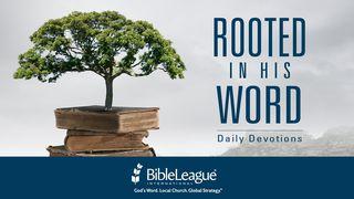 Rooted In His Word II Chronicles 16:9 New King James Version
