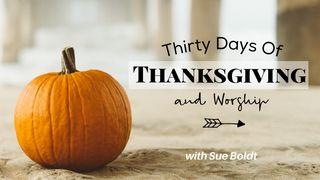 Thirty Days of Thanksgiving and Worship  2 Samuel 6:16 King James Version