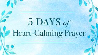 5 Days of Heart-Calming Prayer Psalms 62:8 New Living Translation