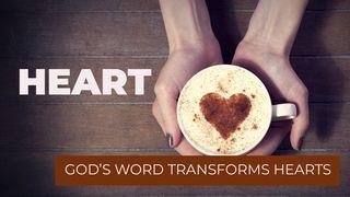 HEART - GOD’S WORD TRANSFORMS HEARTS MEZMURLAR 9:9 Kutsal Kitap Yeni Çeviri 2001, 2008