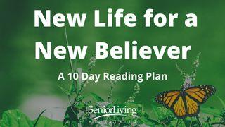 New Life for a New Believer Marko 2:27-28 Biblia Habari Njema