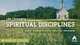 Life Changing Spiritual Disciplines Joel 2:12-13, 23-27 New Living Translation