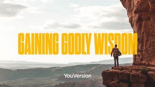 Gaining Godly Wisdom Matthew 7:24 New International Version