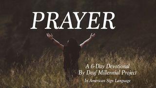 A Dive Into Prayer Salmi 51:1-19 Nuova Riveduta 2006