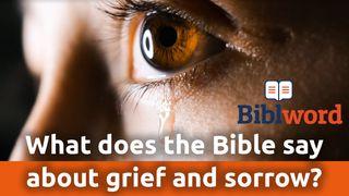 What Does The Bible Say About Grief And Sorrow? Lamentations 3:1-66 New Living Translation