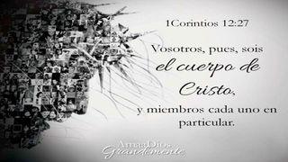 Principios para cultivar actitudes en pro de la unidad del cuerpo de Cristo 1 Corintios 6:12 Nueva Versión Internacional - Español