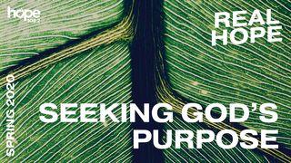 Real Hope: Seeking God's Purpose Ephesians 4:20 New American Standard Bible - NASB 1995