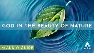 God In The Beauty Of Nature Proverbi 30:24-28 Nuova Riveduta 2006