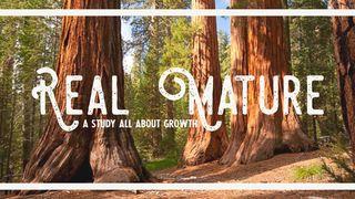 Real Mature: What You Can Do to Grow Your Faith Matthew 13:23 New International Version