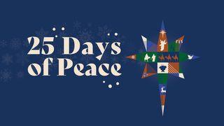 Christmas: 25 Days of Peace Galatians 1:3-5 Christian Standard Bible