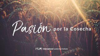 Pasión por la Cosecha 1 JUAN 4:16 La Palabra (versión española)