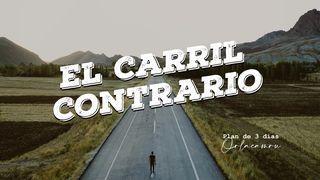 El Carril Contrario Romanos 8:28-29 Nueva Versión Internacional - Español