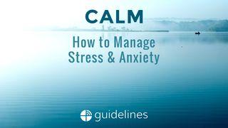 Calm: How to Manage Stress & Anxiety Proverbs 12:25 New Living Translation