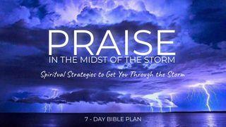 Praise in the Midst of the Storm  I Samuel 12:24 New King James Version