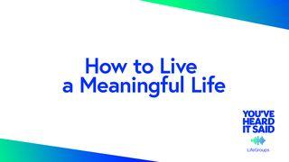 How to Live a Meaningful Life Salmi 86:15 Nuova Riveduta 2006