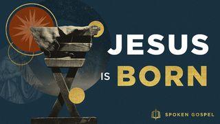 Christmas - Jesus Is Born Matthew 2:10 New International Version
