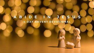 Abide in Jesus - 4-Day Advent Devotional Luke 2:11 King James Version