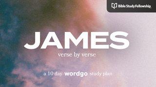 James: Verse by Verse With Bible Study Fellowship James 3:1 New Living Translation