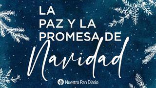 La paz y la promesa de la Navidad. Lucas 24:25-27 Nueva Versión Internacional - Español