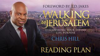 Walking To Jerusalem Isaiah 58:10 New International Version