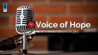Voice of Hope Psalms 121:4 New King James Version