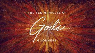 The Ten Miracles of God's Goodness Psalm 27:14 King James Version