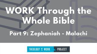 Work Through the Bible, Part 9 Zechariah 7:9-10 New International Version