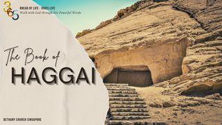 Book of Haggai Haggai 2:15-17 Holman Christian Standard Bible