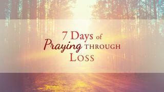 7 días de oración a través de la pérdida Romanos 5:1-11 Traducción en Lenguaje Actual