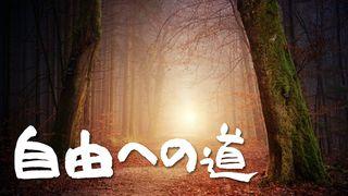自由への道 - 神様の真理を受け取る１６日間 ヨハネによる福音書 8:32 Seisho Shinkyoudoyaku 聖書 新共同訳