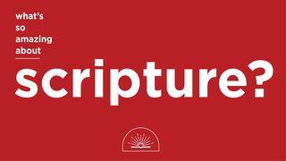 What's So Amazing About Scripture? Deuteronomy 8:3 Amplified Bible, Classic Edition