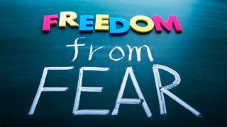 Freedom From Fear Philippians 4:13 New Living Translation