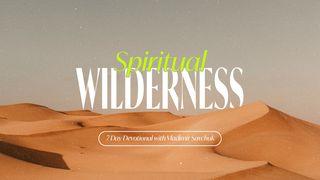 Spiritual Wilderness 1 Samuel 13:14 King James Version