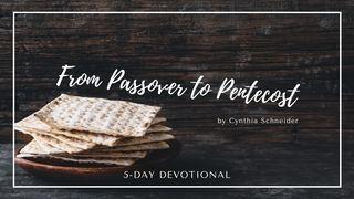From Passover to Pentecost مزامیر 4:27 کتاب مقدس، ترجمۀ معاصر