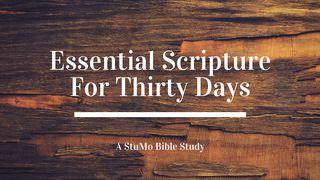 Essential Scripture For 30 Days Matthew 24:34 New International Version